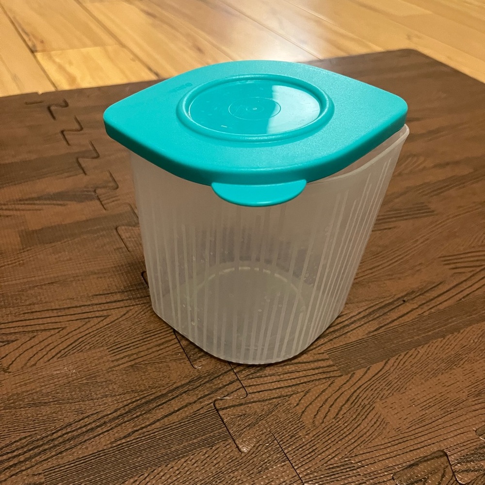 Tupperware Teal Lid Clear White Storage Container